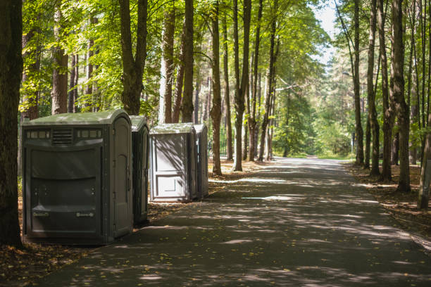 Best High-end porta potty rental  in Manchester, IA